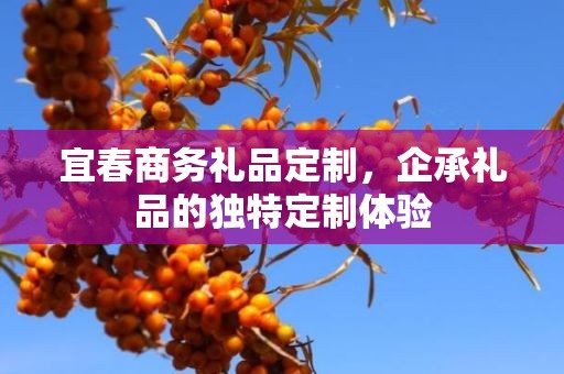 宜春商务礼品定制，企承礼品的独特定制体验